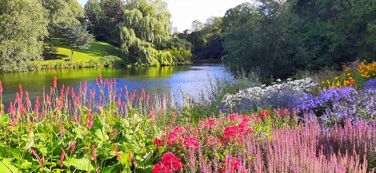 Primavera in giardino con fiori colorati e luce naturale