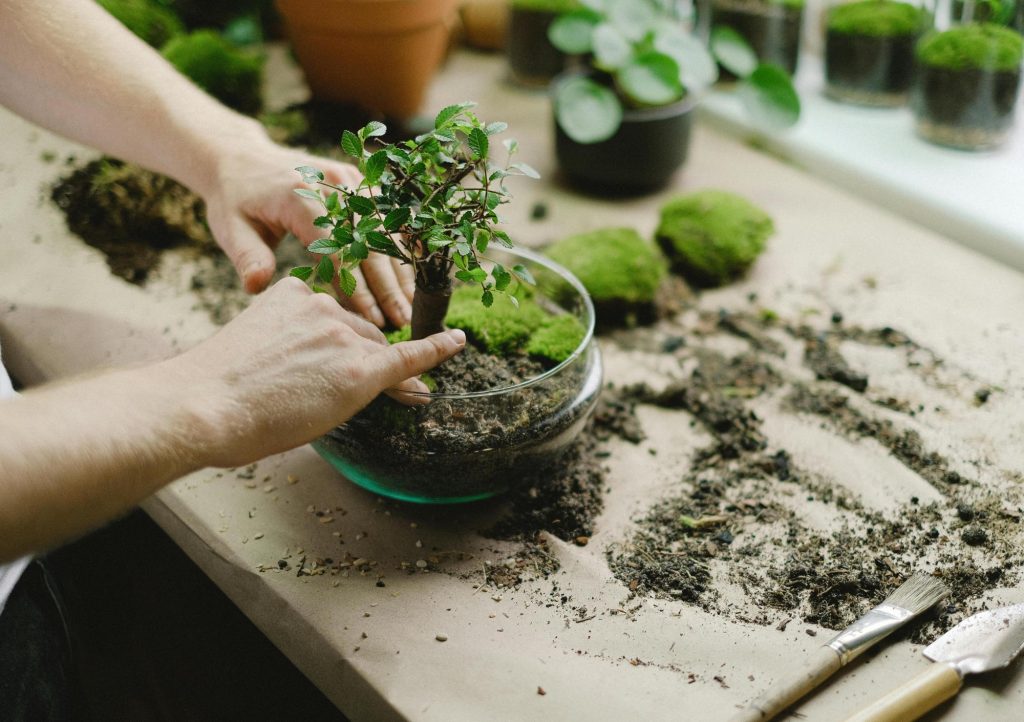 idee regalo uomo piante giardino natura appassionato