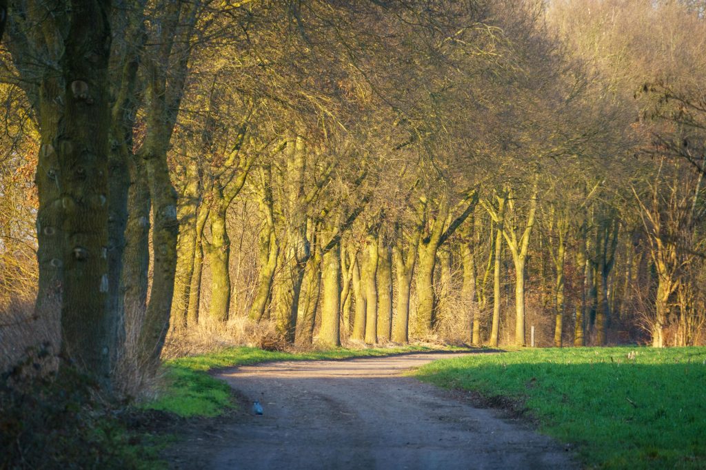 slow living stagioni natura passeggiata consapevole armonia